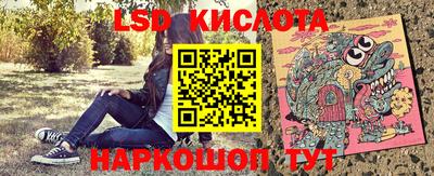 стафф Славгород