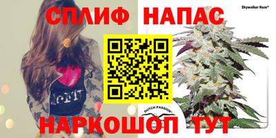 дмт Свободный