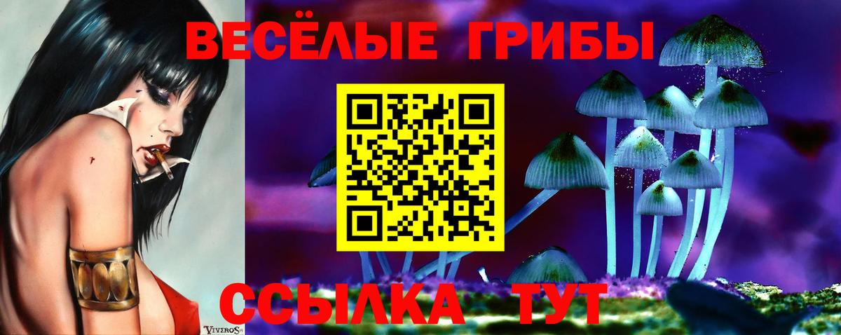 Псилоцибиновые грибы прущие грибы Ноябрьск